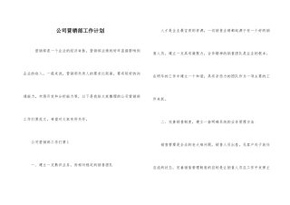 公司营销部工作计划