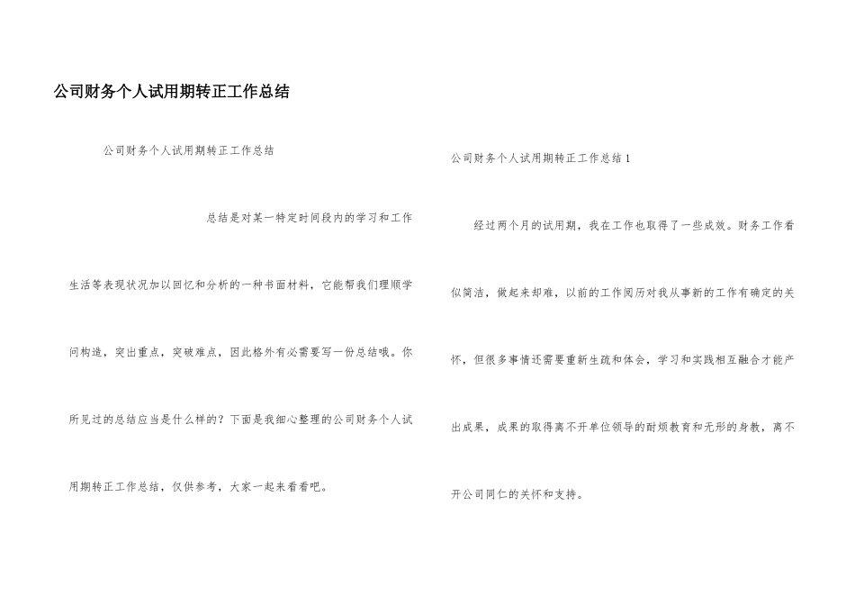 公司财务个人试用期转正工作总结_第1页