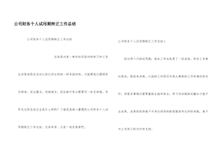 公司财务个人试用期转正工作总结