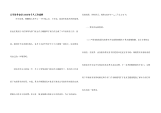 公司财务会计2024年个人工作总结
