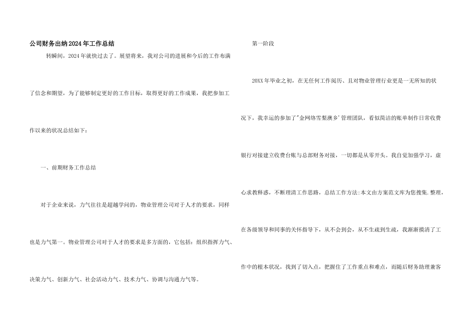 公司财务出纳2024年工作总结_第1页