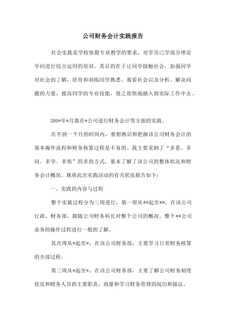 公司财务会计实践报告