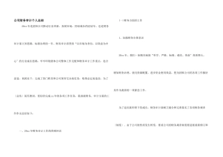 公司财务审计个人总结