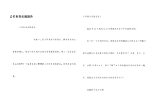 公司财务实践报告