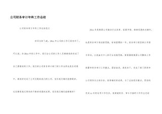 公司财务审计年终工作总结