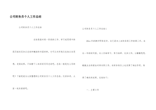 公司财务员个人工作总结