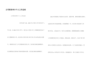 公司财务审计个人工作总结