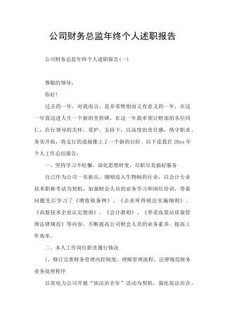 公司财务总监年终个人述职报告