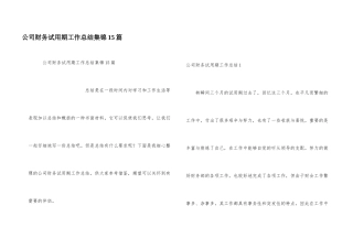 公司财务试用期工作总结集锦15篇