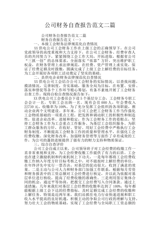 公司财务自查报告范文二篇