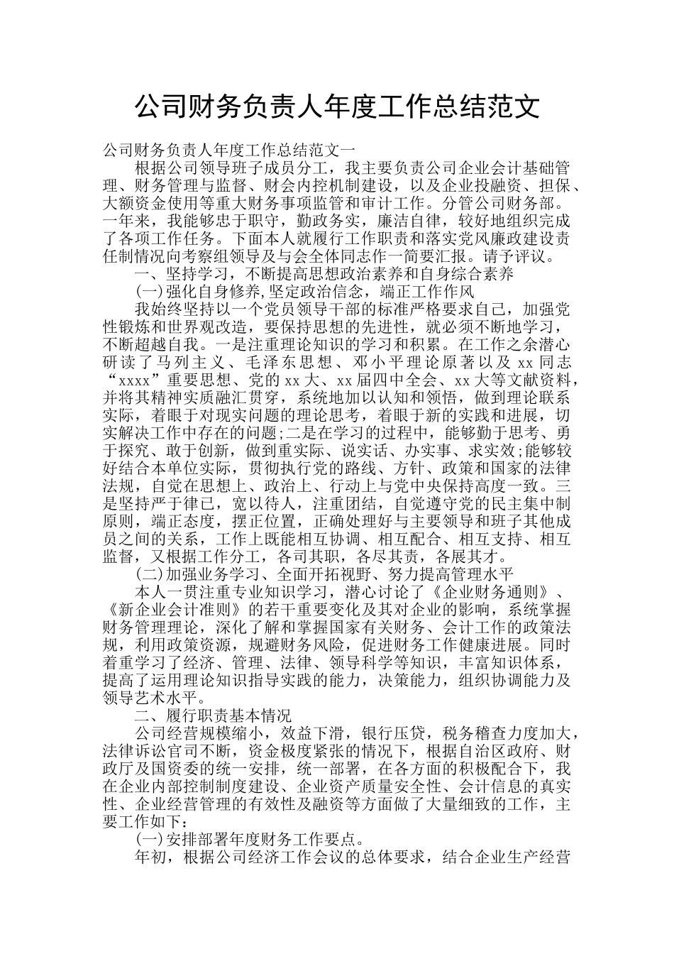 公司财务负责人年度工作总结范文_第1页