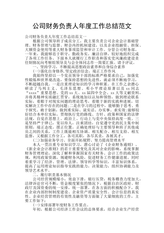 公司财务负责人年度工作总结范文