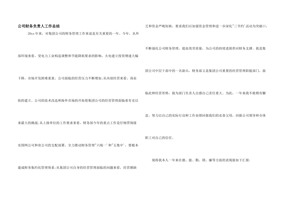公司财务负责人工作总结_第1页