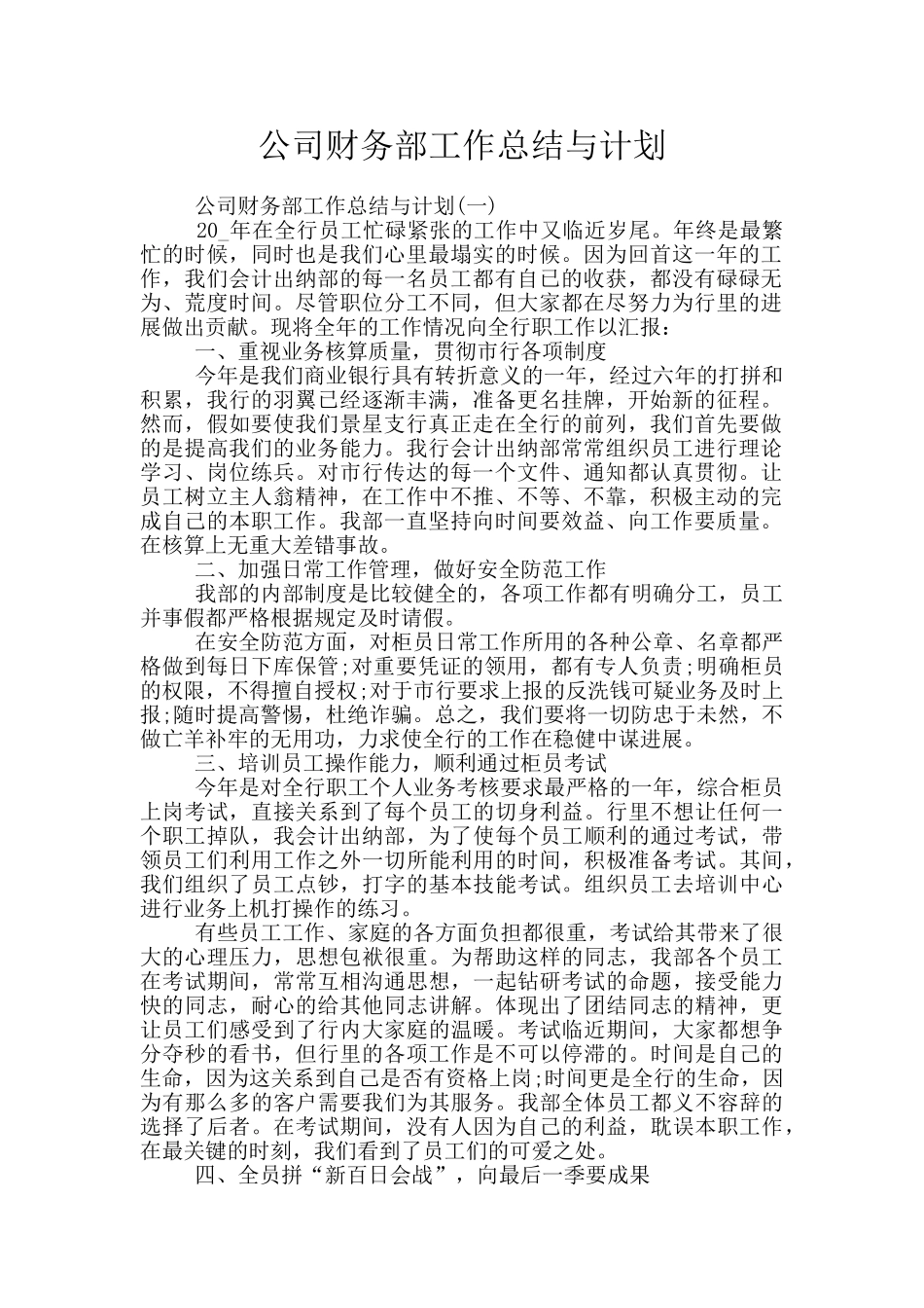 公司财务部工作总结与计划_第1页
