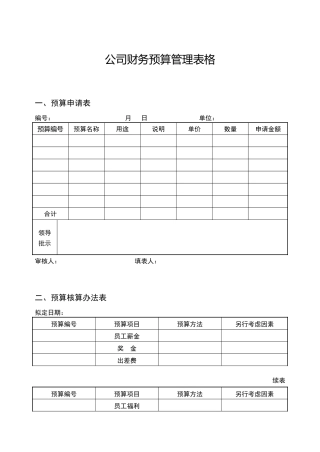 公司财务预算管理表格