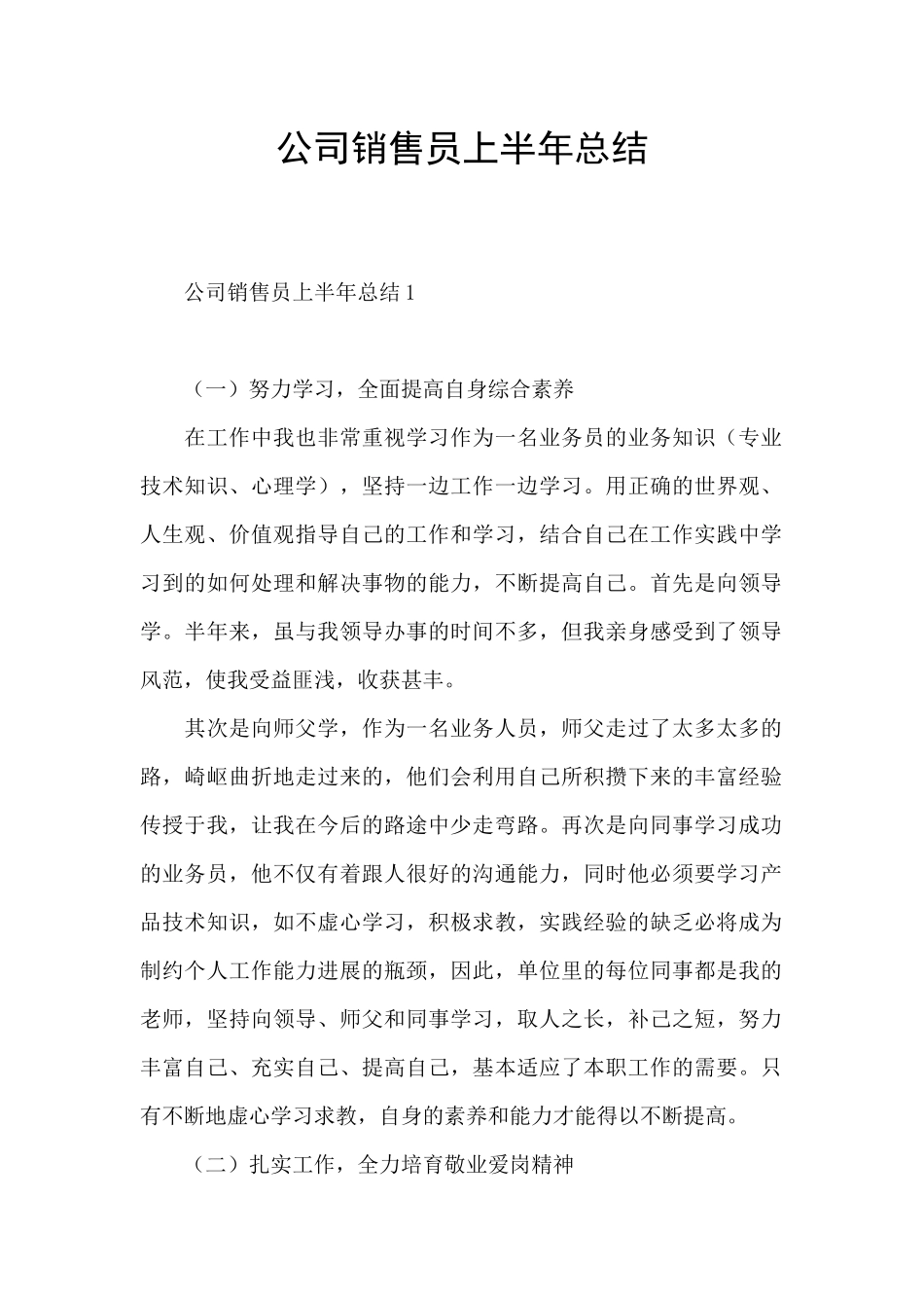 公司销售员上半年总结_第1页