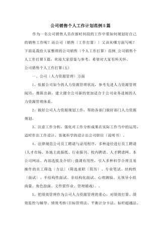 公司销售个人工作计划范例5篇