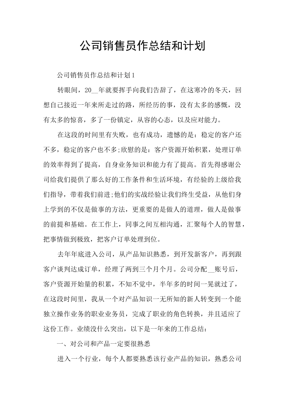 公司销售员作总结和计划_第1页