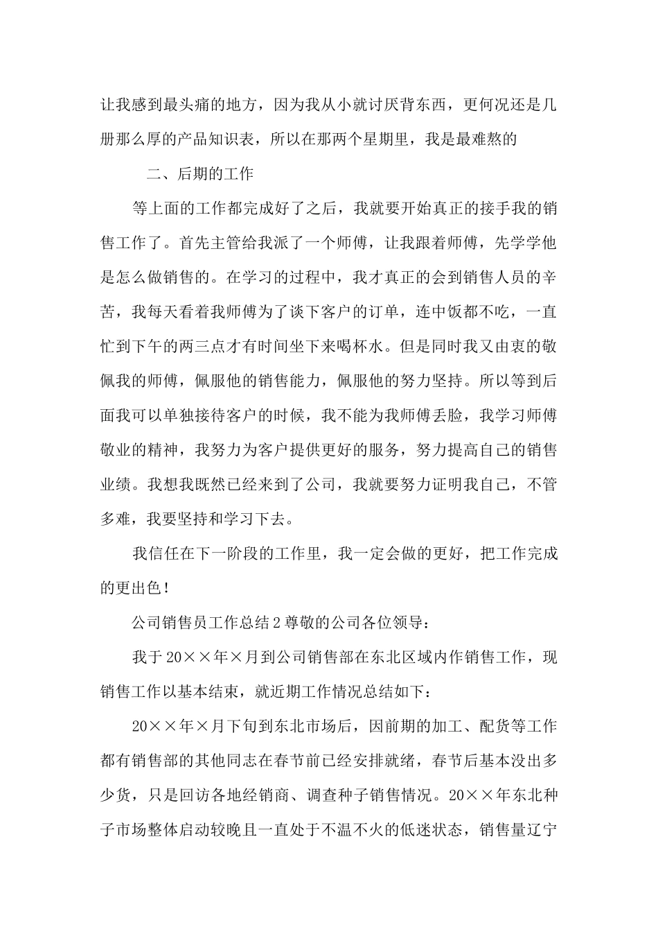 公司销售员工作总结_第2页