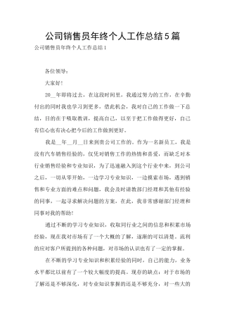 公司销售员年终个人工作总结5篇