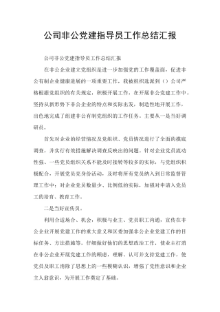 公司非公党建指导员工作总结汇报
