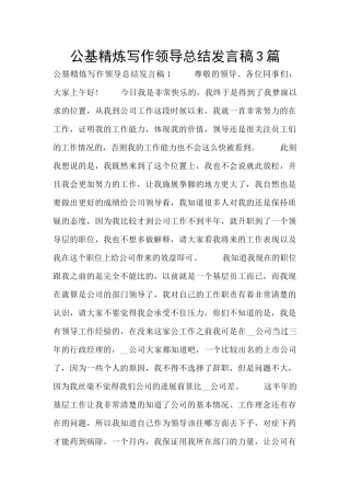 公基精炼写作领导总结发言稿3篇
