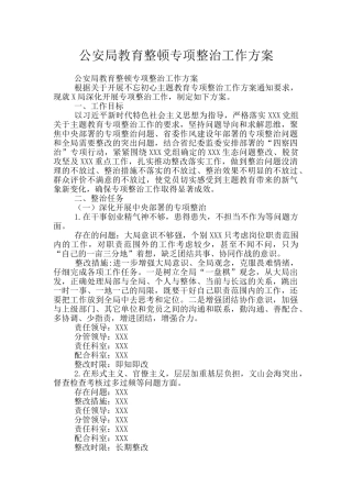 公安局教育整顿专项整治工作方案