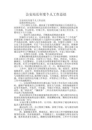 公安局长年度个人工作总结