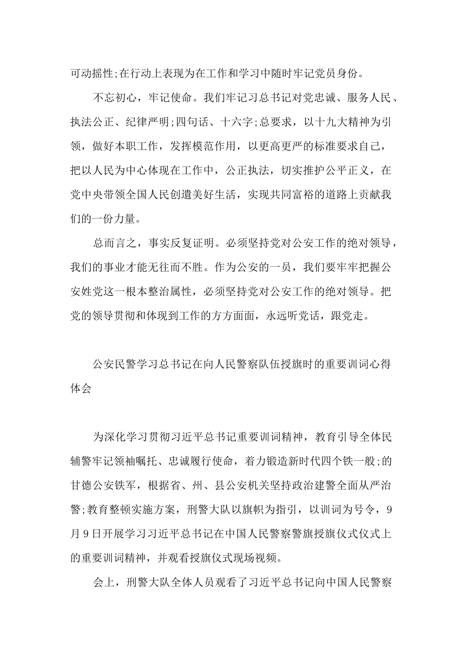 公安民警学习总书记在向人民警察队伍授旗时的重要训词心得体会_第3页