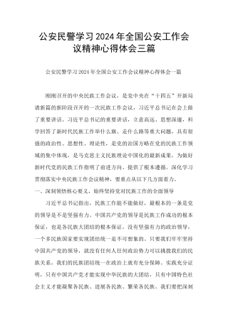公安民警学习2024年全国公安工作会议精神心得体会三篇