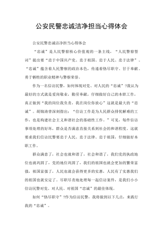 公安民警忠诚干净担当心得体会