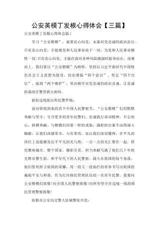公安英模丁发根心得体会