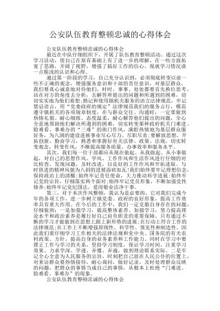 公安队伍教育整顿忠诚的心得体会