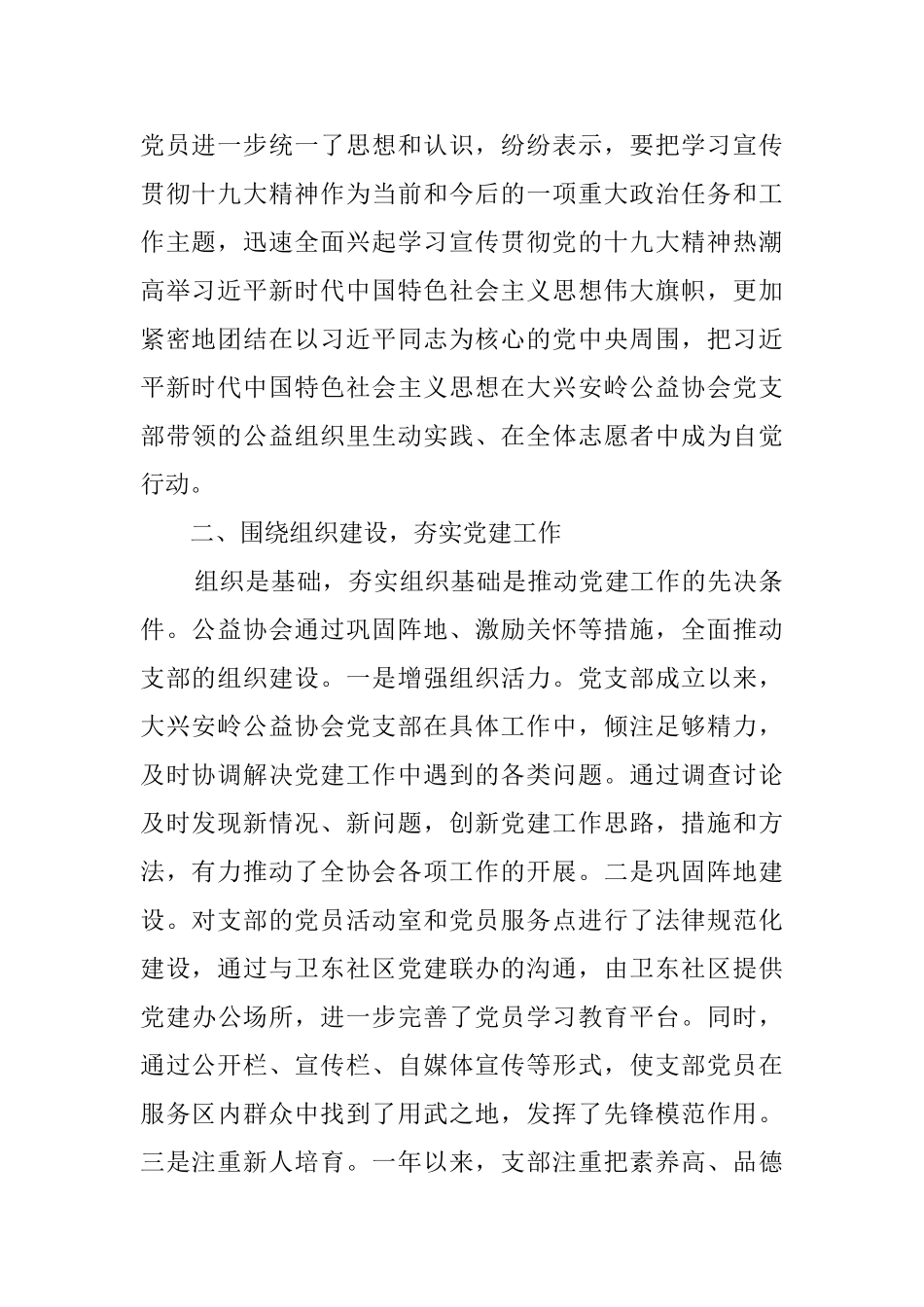 公益协会党支部书记基层党建工作述职报告_第2页