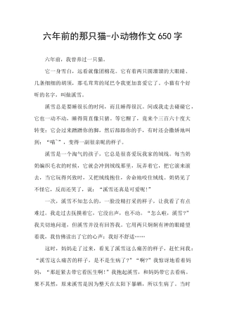 六年前的那只猫