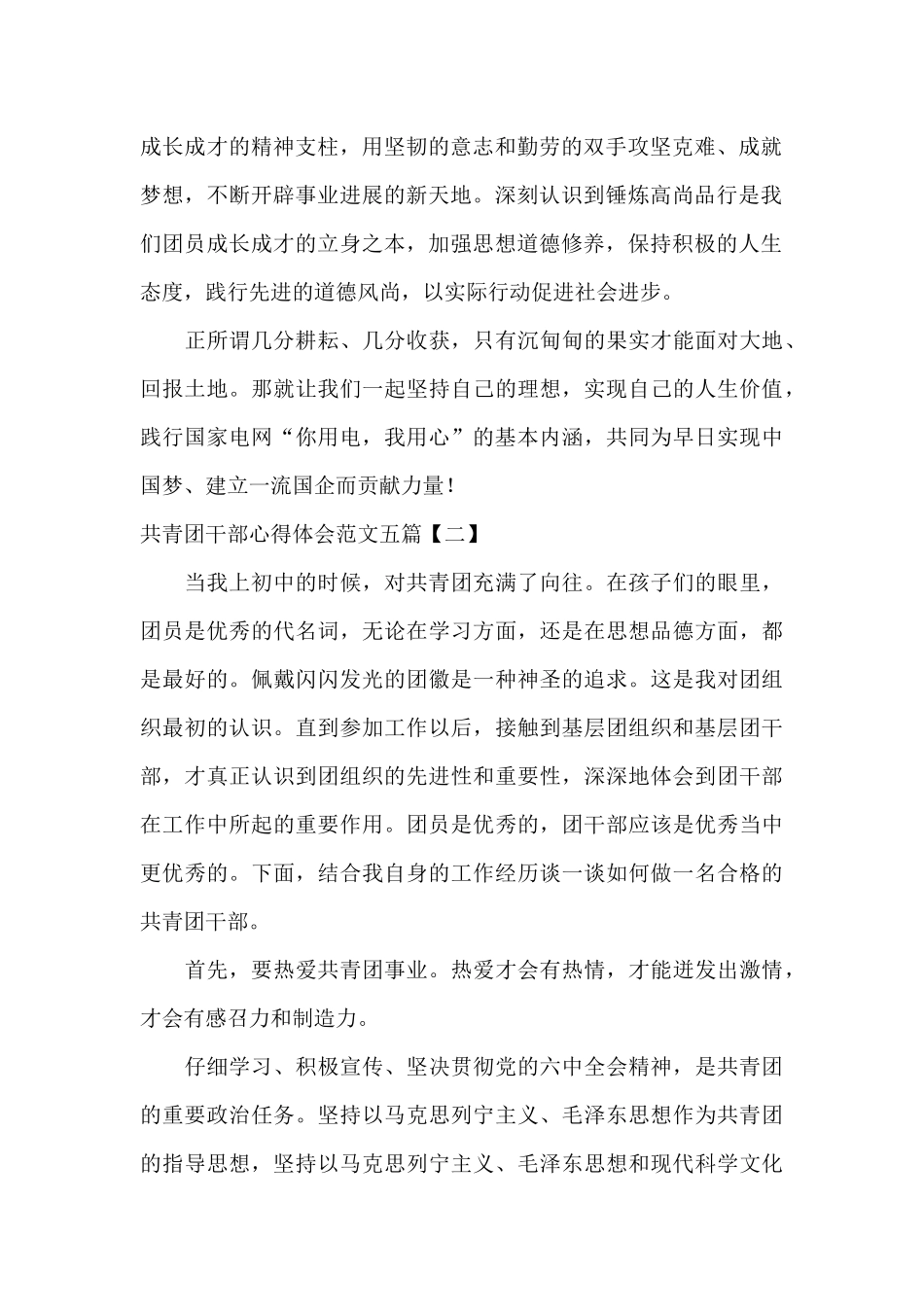 共青团干部心得体会范文五篇_第2页