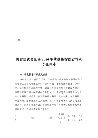 共青团武昌区委绩效指标执行情况自查报告