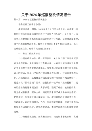 关于2024年巡察整改情况报告