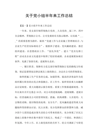 关于党小组半年来工作总结