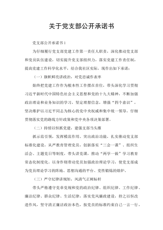 关于党支部公开承诺书