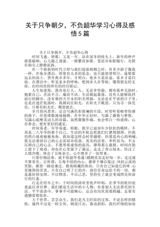 关于只争朝夕-不负韶华学习心得及感悟5篇