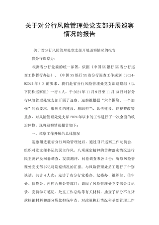 关于对分行风险管理处党支部开展巡察情况的报告