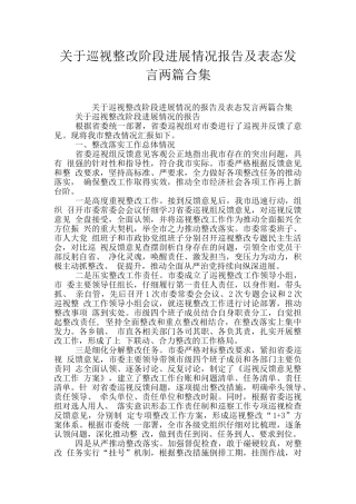 关于巡视整改阶段进展情况报告及表态发言两篇合集