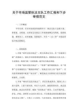 关于市场监管执法支队工作汇报和下步举措范文