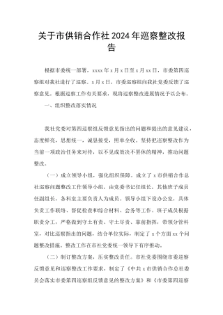关于市供销合作社2024年巡察整改报告