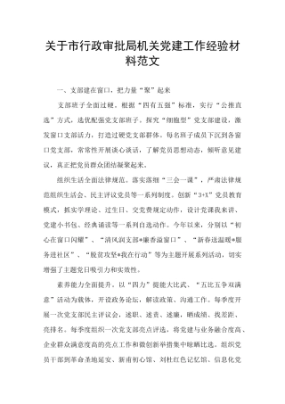 关于市行政审批局机关党建工作经验材料范文