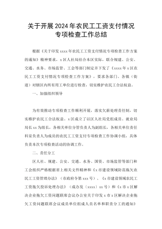 关于开展2024年农民工工资支付情况专项检查工作总结