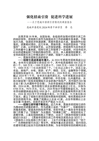 关于恩施市招商引资情况的调查报告