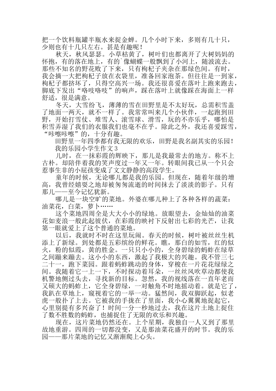 关于我的乐园的小学生作文_第2页