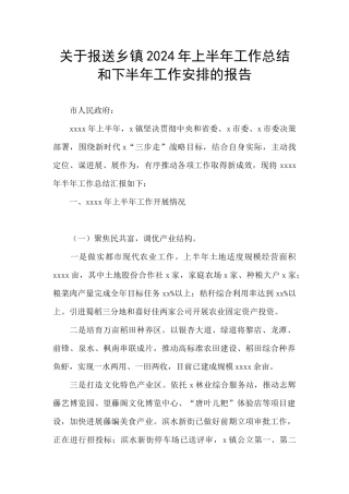 关于报送乡镇2024年上半年工作总结和下半年工作安排的报告
